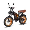 Kugoo V5 Electric Bike