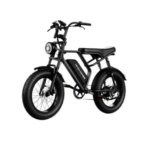 Wind Horse V8 Pro Electric Bike